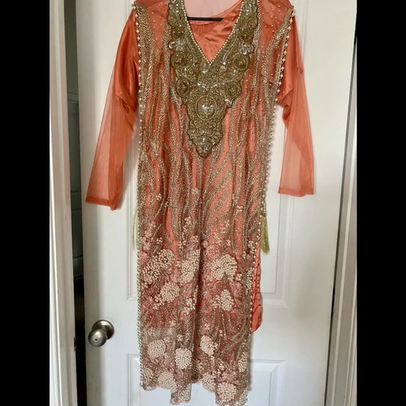 Pakistani Indian Wedding Dress - Picture 5 of 5